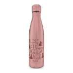 PMD METAL WATER BOTTLE: DISNEY- DISNEY PRINCESS (THIRSTY)