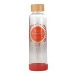 Water Bottle Glass (500ml) - Harry Potter (Proud Gryffindor)