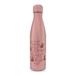 PMD METAL WATER BOTTLE: DISNEY- DISNEY PRINCESS (THIRSTY) - Level UpLevel UpAccessories5050574255530