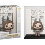 Pop Cover! Movies: Harry Potter: The Prisoner of Azkaban - Poster with Sirius Black