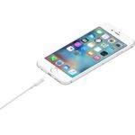 Apple Lightning to USB Cable (0.5 m) ME291 - Level UpLevel UpCharging Cable885909707973