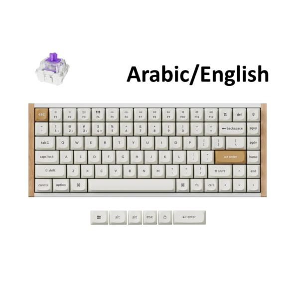 KeyChron K2 HE 75% Wireless Customizable Gaming Keyboard Mechanical Magnetic Switch, K2H-Q1, White – (Arabic-English)