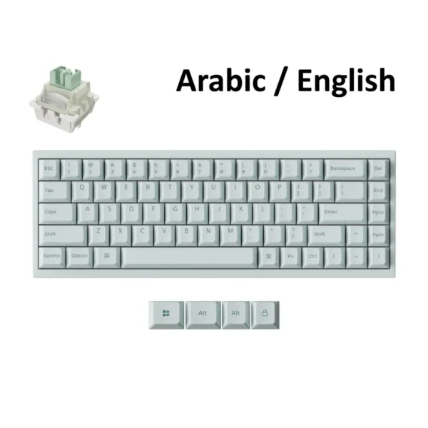 KeyChron Q16 HE 8K 65% Wired Magnetic Switch RGB Backlight Gaming Keyboard, Q16HW-J1, Green – Arabic/English