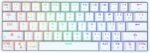 ⁦لوحة مفاتيح DK61 ميكانيكية RGB – سلكية ولاسلكية⁩ - الصورة ⁦7⁩