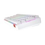 ⁦MeeTion MK005 Wired 60% Mini Gaming Mechanical Keyboard English-Arabic, Blue Switch (White)⁩ - الصورة ⁦7⁩